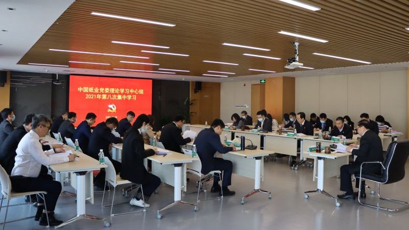 中國(guó)紙業(yè)黨委深入學(xué)習(xí)貫徹黨的十九屆六中全會(huì)精神