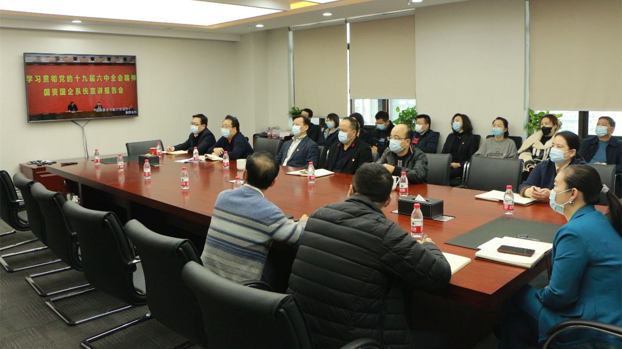 誠(chéng)通國(guó)貿(mào)黨委認(rèn)真學(xué)習(xí)貫徹黨的十九屆六中全會(huì)精神